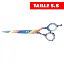 Ciseaux droit LGBT -Silver Line - Taille 5.5