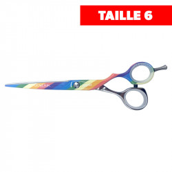 Ciseaux droit LGBT -Silver Line - Taille 6