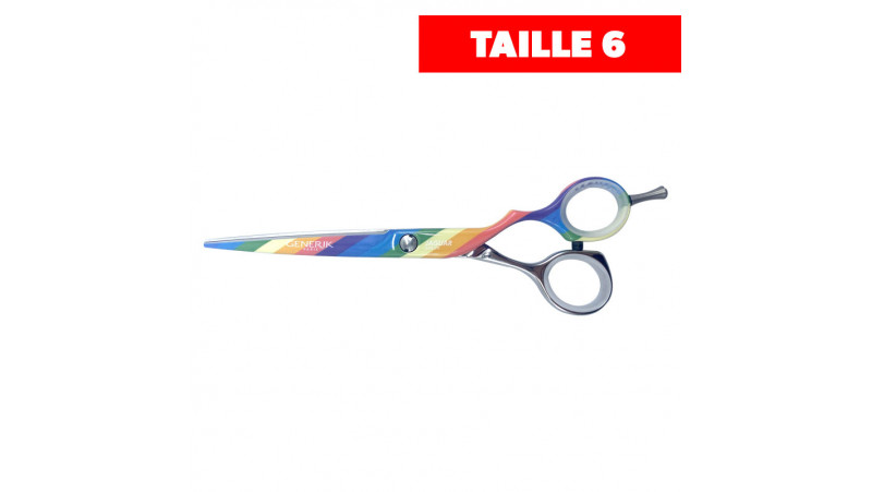 Ciseaux droit LGBT -Silver Line - Taille 6